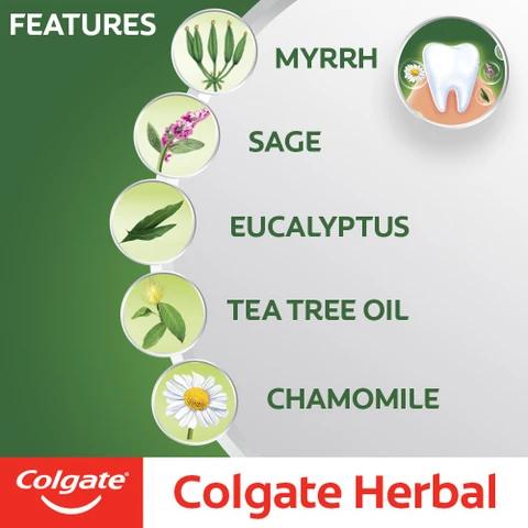Colgate Toothpaste - Herbal Anticavity