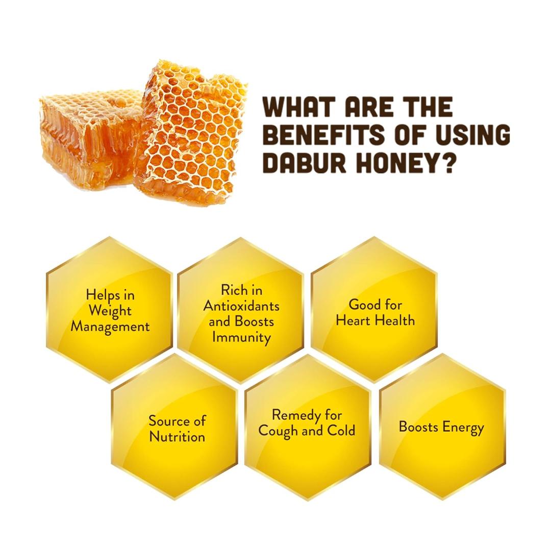 Dabur Honey (No Sugar Adulteration) 100g