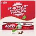 Dabur Red Paste, 18g - 1Pc