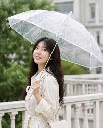 Premium Transparent Dome Umbrella with Curved Handle - Windproof